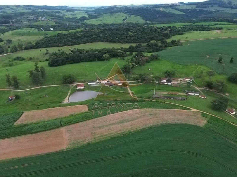 Aliança Imóveis - Imobiliária em Ribeirão Preto - SP - Fazenda  - Zona Rural - São José do Rio Pardo