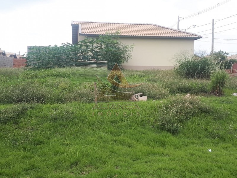 Aliança Imóveis - Imobiliária em Ribeirão Preto - SP - Terreno - Cristo Redentor - Ribeirão Preto