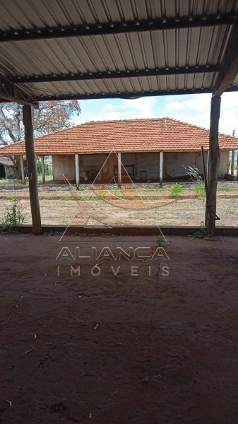 Aliança Imóveis - Imobiliária em Ribeirão Preto - SP - Fazenda  - Zona Rural - Jales