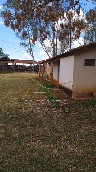 Aliança Imóveis - Imobiliária em Ribeirão Preto - SP - Fazenda  - Zona Rural - Jales