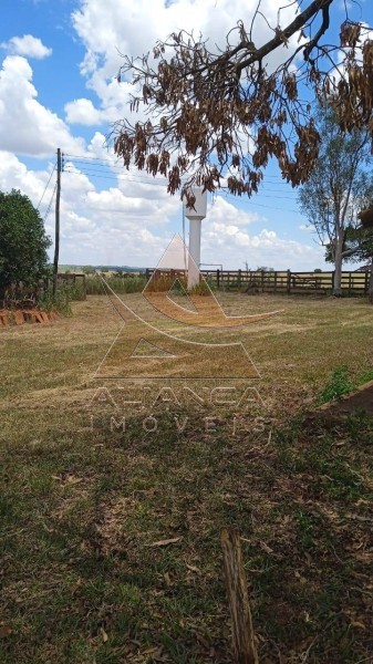 Aliança Imóveis - Imobiliária em Ribeirão Preto - SP - Fazenda  - Zona Rural - Jales