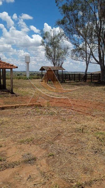 Aliança Imóveis - Imobiliária em Ribeirão Preto - SP - Fazenda  - Zona Rural - Jales