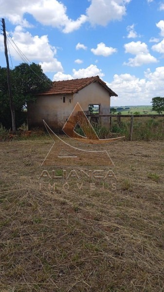 Aliança Imóveis - Imobiliária em Ribeirão Preto - SP - Fazenda  - Zona Rural - Jales