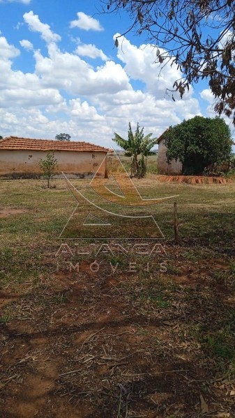 Aliança Imóveis - Imobiliária em Ribeirão Preto - SP - Fazenda  - Zona Rural - Jales