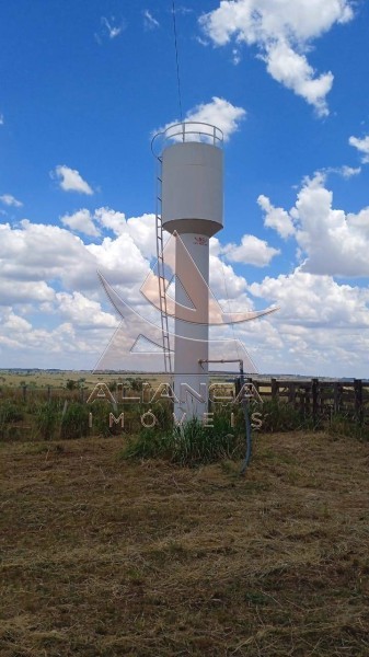 Aliança Imóveis - Imobiliária em Ribeirão Preto - SP - Fazenda  - Zona Rural - Jales