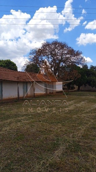 Aliança Imóveis - Imobiliária em Ribeirão Preto - SP - Fazenda  - Zona Rural - Jales