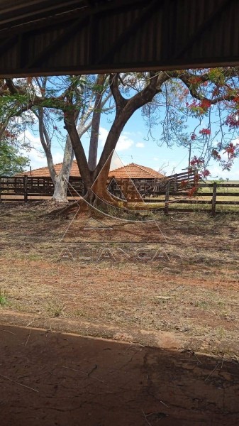 Aliança Imóveis - Imobiliária em Ribeirão Preto - SP - Fazenda  - Zona Rural - Jales