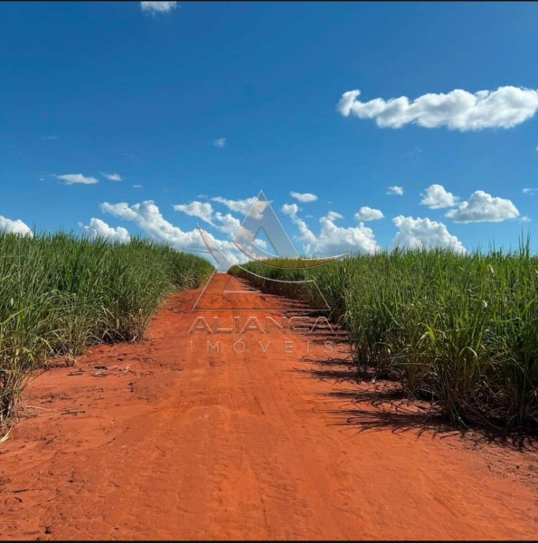 Aliança Imóveis - Imobiliária em Ribeirão Preto - SP - Fazenda  - Zona Rural  - Teodoro Sampaio