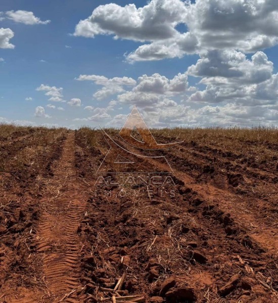 Aliança Imóveis - Imobiliária em Ribeirão Preto - SP - Fazenda  - Zona Rural  - Teodoro Sampaio