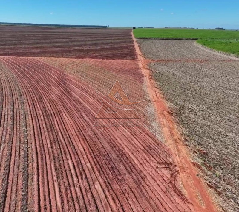 Aliança Imóveis - Imobiliária em Ribeirão Preto - SP - Fazenda  - Zona Rural  - Teodoro Sampaio