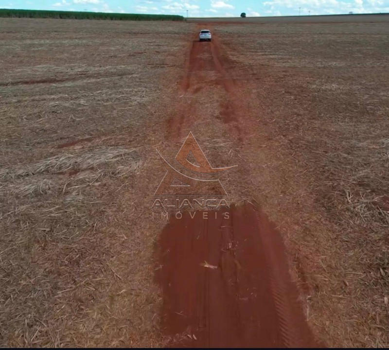 Aliança Imóveis - Imobiliária em Ribeirão Preto - SP - Fazenda  - Zona Rural  - Teodoro Sampaio