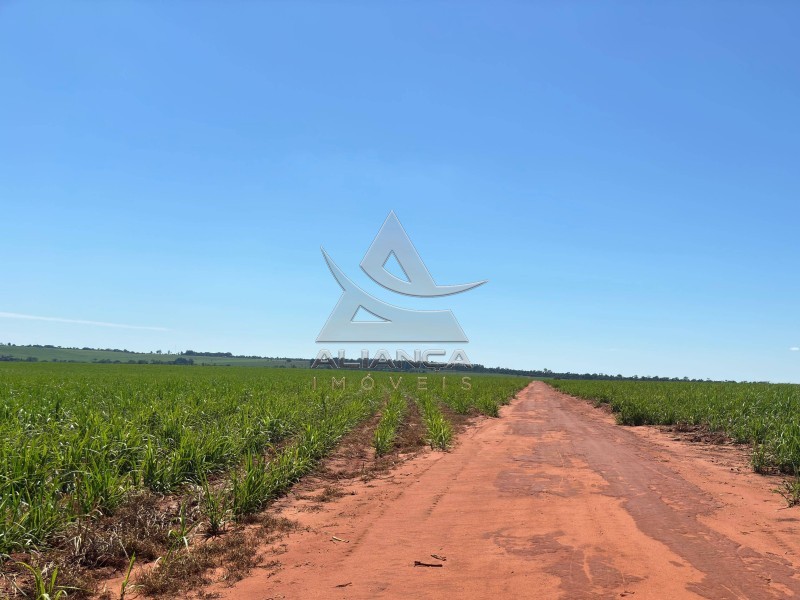 Aliança Imóveis - Imobiliária em Ribeirão Preto - SP - Fazenda  - Zona Rural  - Teodoro Sampaio