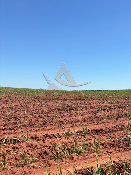 Aliança Imóveis - Imobiliária em Ribeirão Preto - SP - Fazenda  - Zona Rural  - Teodoro Sampaio