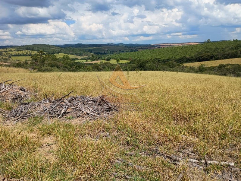 Aliança Imóveis - Imobiliária em Ribeirão Preto - SP - Fazenda  - Zona Rural  - Arcos
