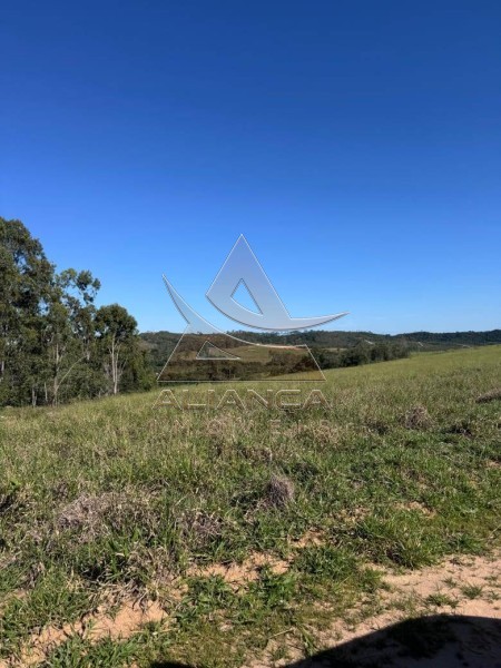 Aliança Imóveis - Imobiliária em Ribeirão Preto - SP - Fazenda  - Zona Rural  - Arcos