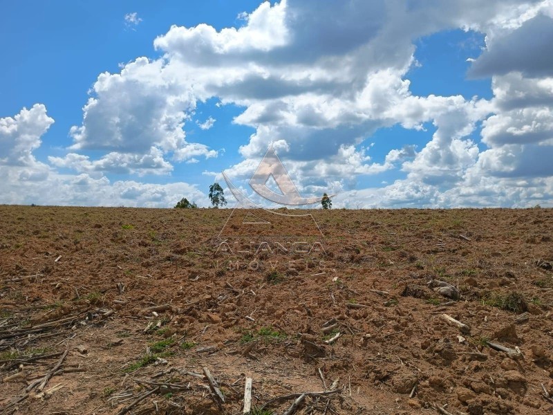 Aliança Imóveis - Imobiliária em Ribeirão Preto - SP - Fazenda  - Zona Rural  - Arcos