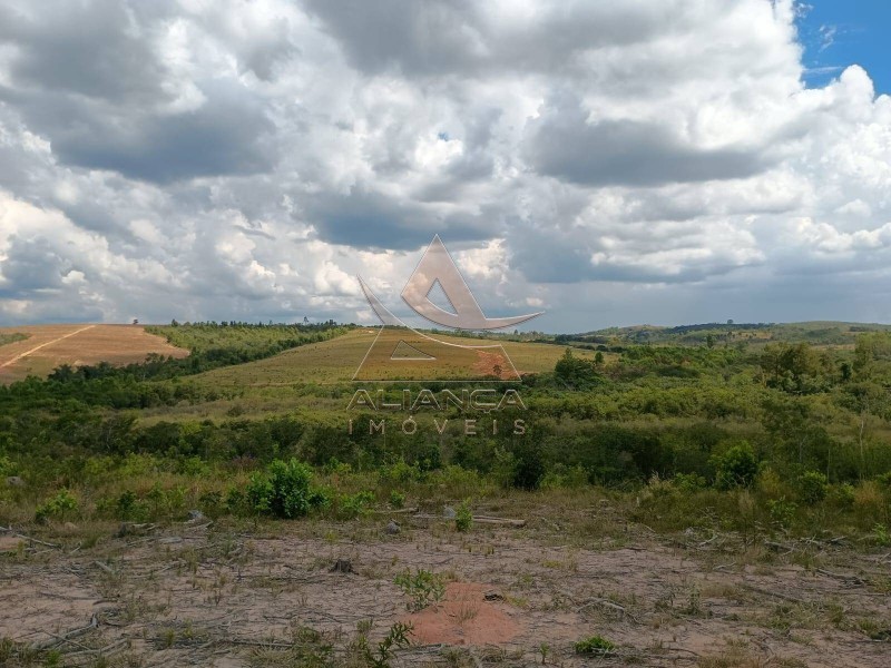 Aliança Imóveis - Imobiliária em Ribeirão Preto - SP - Fazenda  - Zona Rural  - Arcos