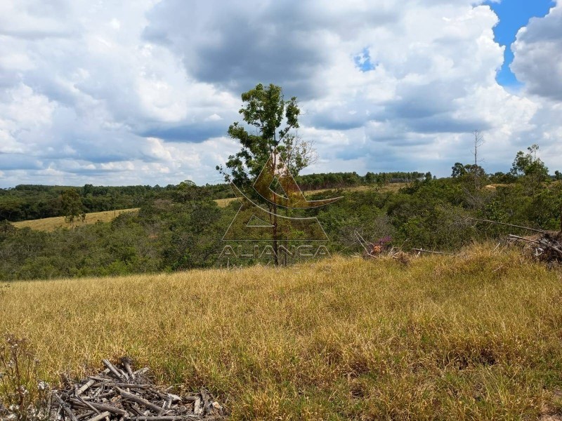 Aliança Imóveis - Imobiliária em Ribeirão Preto - SP - Fazenda  - Zona Rural  - Arcos