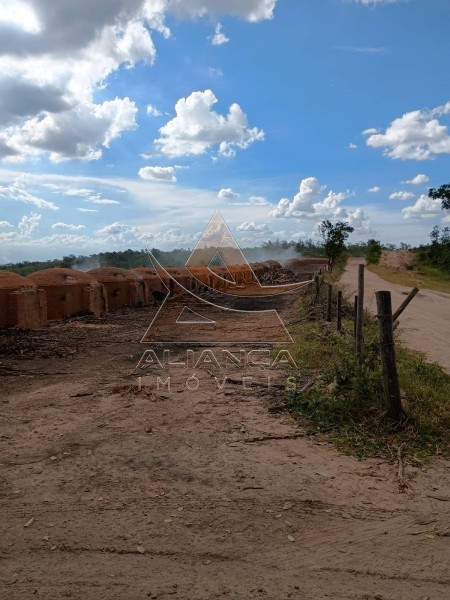 Aliança Imóveis - Imobiliária em Ribeirão Preto - SP - Fazenda  - Zona Rural  - Arcos