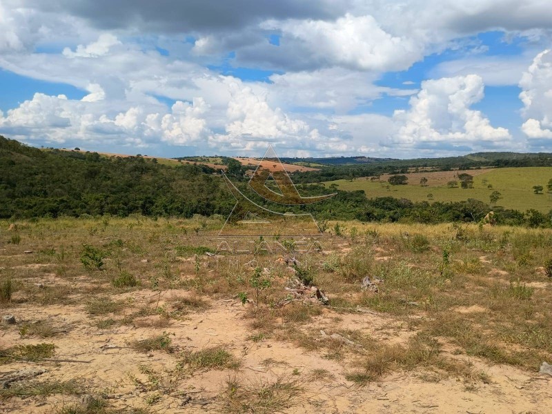 Aliança Imóveis - Imobiliária em Ribeirão Preto - SP - Fazenda  - Zona Rural  - Arcos