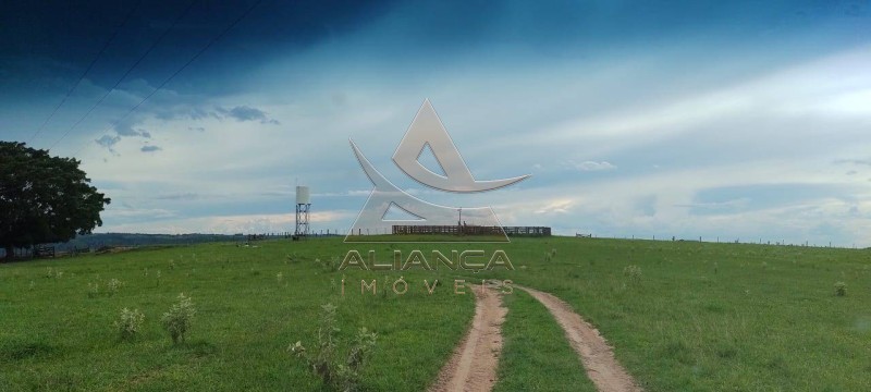 Aliança Imóveis - Imobiliária em Ribeirão Preto - SP - Fazenda  - Zona Rural - Garça