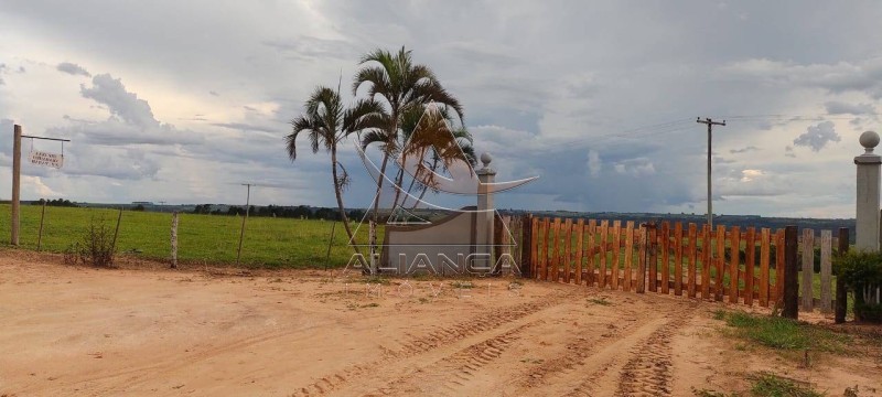 Aliança Imóveis - Imobiliária em Ribeirão Preto - SP - Fazenda  - Zona Rural - Garça