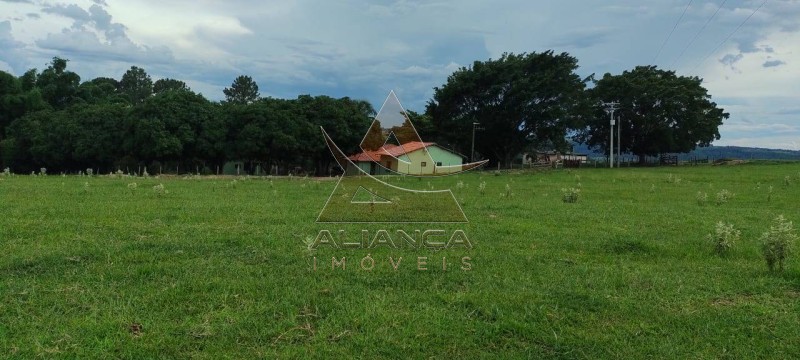 Aliança Imóveis - Imobiliária em Ribeirão Preto - SP - Fazenda  - Zona Rural - Garça