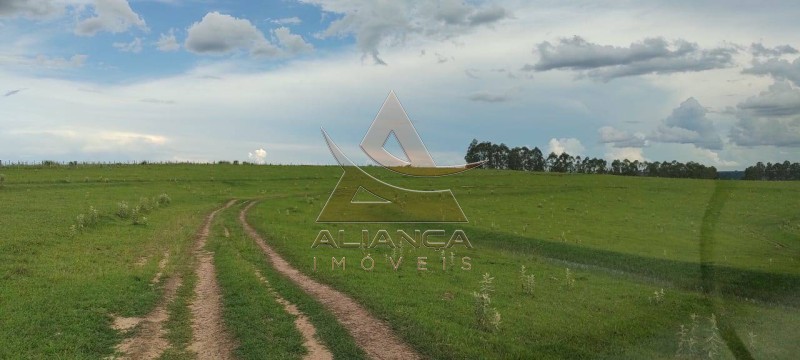 Aliança Imóveis - Imobiliária em Ribeirão Preto - SP - Fazenda  - Zona Rural - Garça