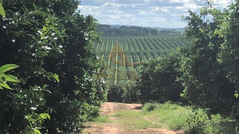 Aliança Imóveis - Imobiliária em Ribeirão Preto - SP - Fazenda  - Zona Rural  - Marília