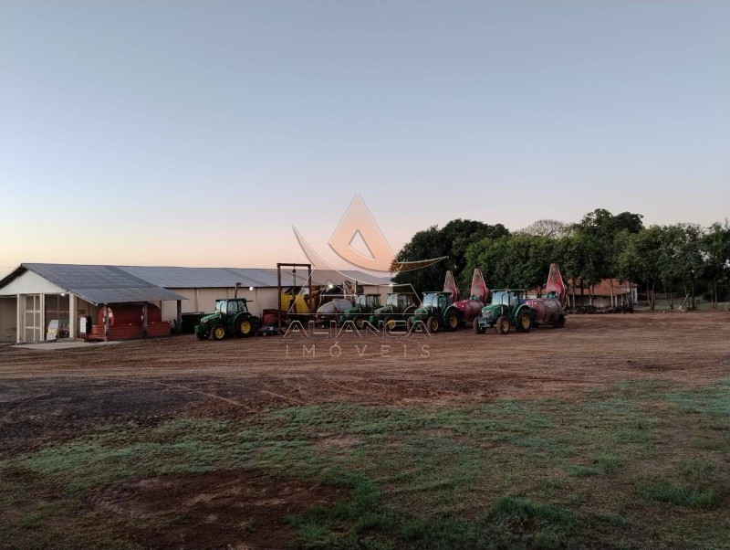 Aliança Imóveis - Imobiliária em Ribeirão Preto - SP - Fazenda  - Zona Rural  - Marília