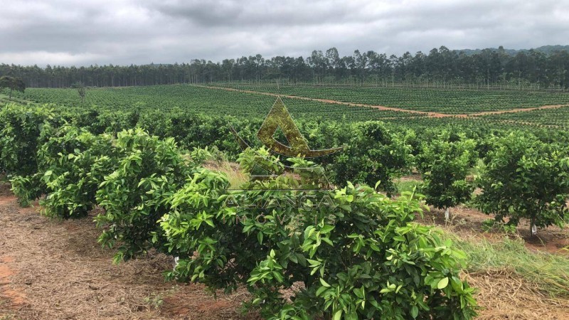 Aliança Imóveis - Imobiliária em Ribeirão Preto - SP - Fazenda  - Zona Rural  - Marília