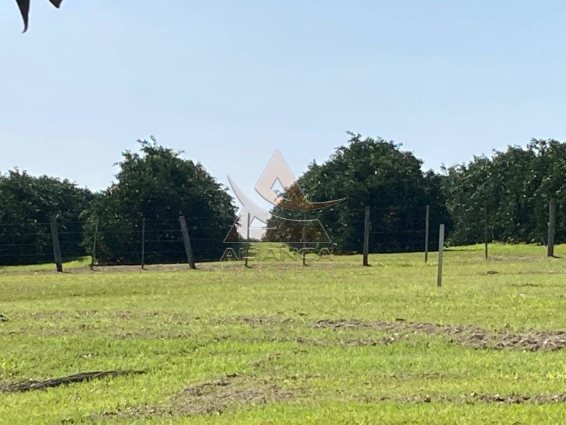 Aliança Imóveis - Imobiliária em Ribeirão Preto - SP - Fazenda  - Zona Rural  - Marília