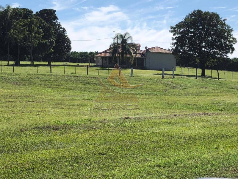 Aliança Imóveis - Imobiliária em Ribeirão Preto - SP - Fazenda  - Zona Rural  - Marília