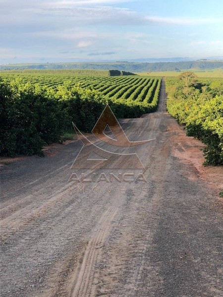 Aliança Imóveis - Imobiliária em Ribeirão Preto - SP - Fazenda  - Zona Rural  - Marília