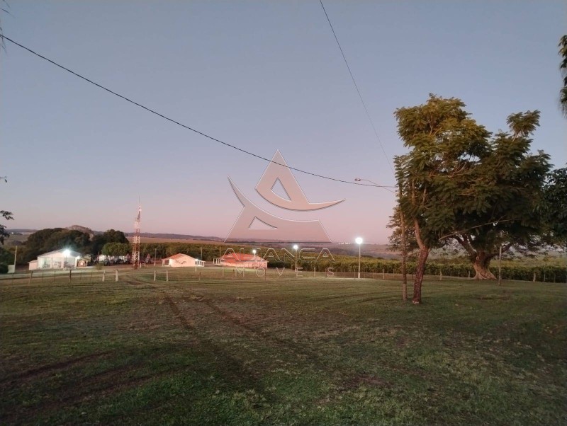 Aliança Imóveis - Imobiliária em Ribeirão Preto - SP - Fazenda  - Zona Rural  - Marília