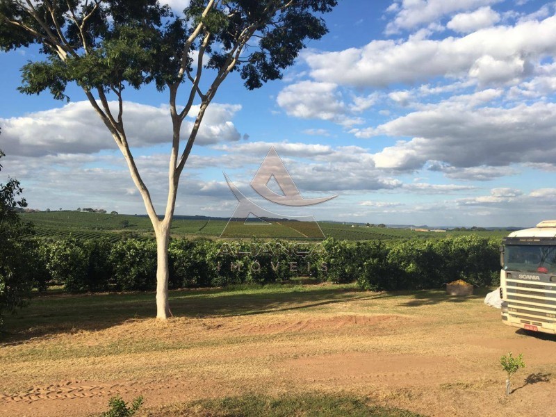 Aliança Imóveis - Imobiliária em Ribeirão Preto - SP - Fazenda  - Zona Rural  - Marília