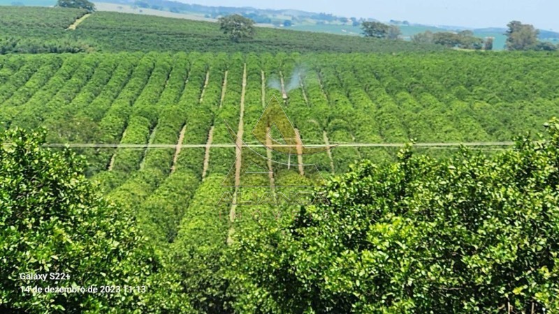 Aliança Imóveis - Imobiliária em Ribeirão Preto - SP - Fazenda  - Zona Rural  - Marília