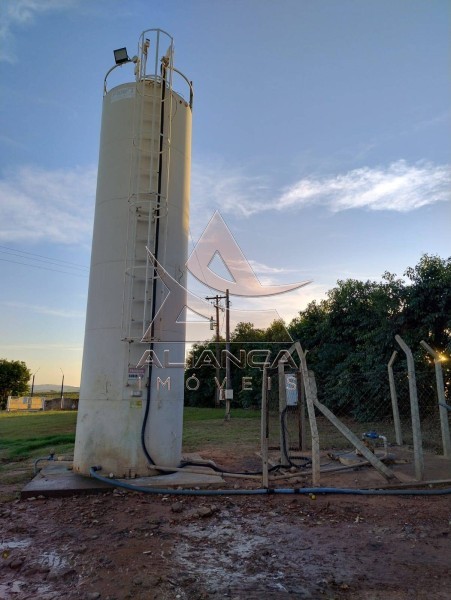 Aliança Imóveis - Imobiliária em Ribeirão Preto - SP - Fazenda  - Zona Rural  - Marília