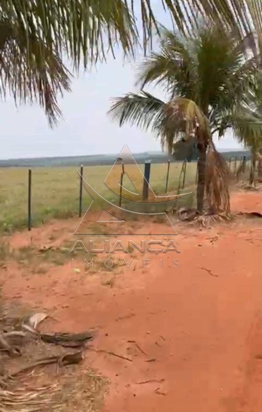 Aliança Imóveis - Imobiliária em Ribeirão Preto - SP - Fazenda  - Zona Rural - Marília