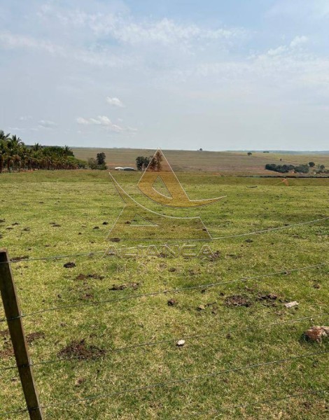 Aliança Imóveis - Imobiliária em Ribeirão Preto - SP - Fazenda  - Zona Rural - Marília