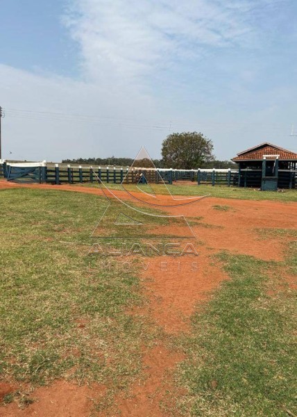 Aliança Imóveis - Imobiliária em Ribeirão Preto - SP - Fazenda  - Zona Rural - Marília