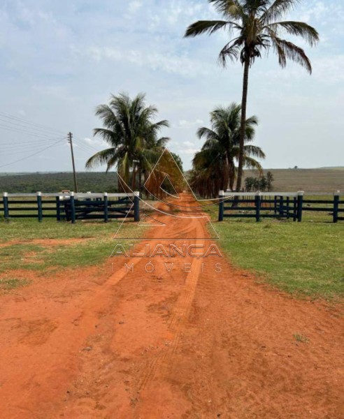 Aliança Imóveis - Imobiliária em Ribeirão Preto - SP - Fazenda  - Zona Rural - Marília