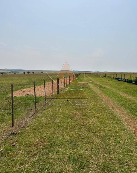 Aliança Imóveis - Imobiliária em Ribeirão Preto - SP - Fazenda  - Zona Rural - Marília
