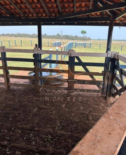 Aliança Imóveis - Imobiliária em Ribeirão Preto - SP - Fazenda  - Zona Rural - Marília