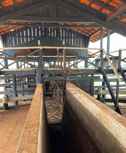 Aliança Imóveis - Imobiliária em Ribeirão Preto - SP - Fazenda  - Zona Rural - Marília