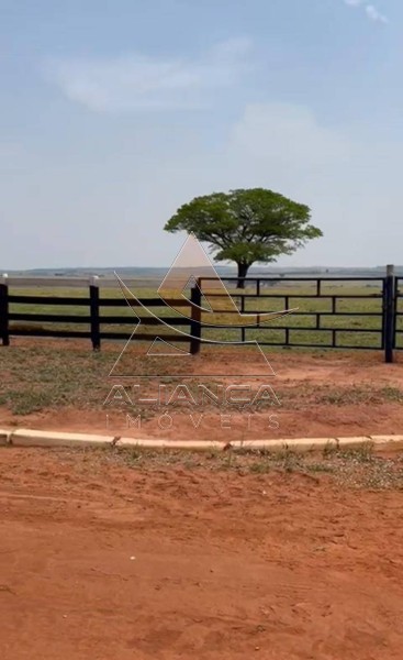 Aliança Imóveis - Imobiliária em Ribeirão Preto - SP - Fazenda  - Zona Rural - Marília