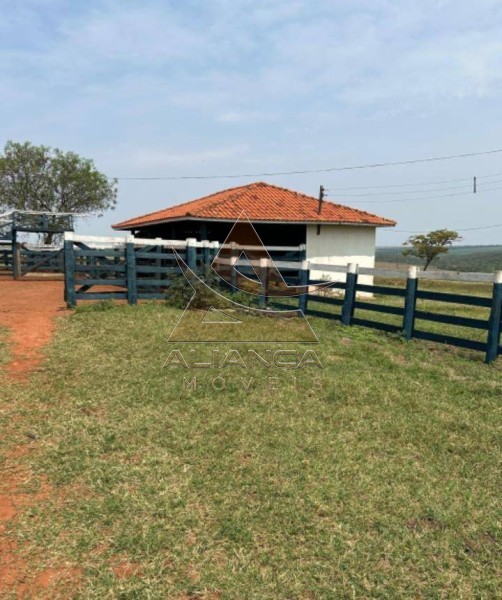 Aliança Imóveis - Imobiliária em Ribeirão Preto - SP - Fazenda  - Zona Rural - Marília