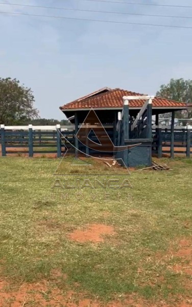 Aliança Imóveis - Imobiliária em Ribeirão Preto - SP - Fazenda  - Zona Rural - Marília