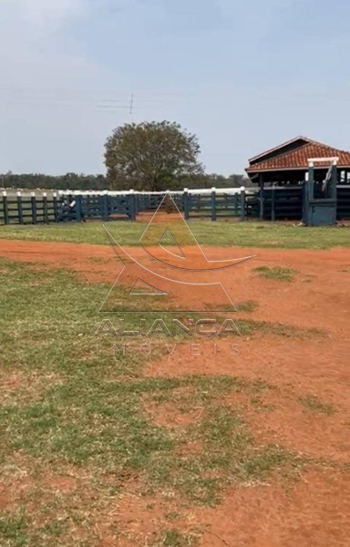 Aliança Imóveis - Imobiliária em Ribeirão Preto - SP - Fazenda  - Zona Rural - Marília