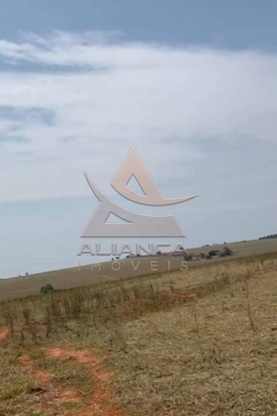 Aliança Imóveis - Imobiliária em Ribeirão Preto - SP - Fazenda  - Zona Rural - Marília